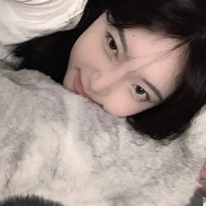 狗的生涯
