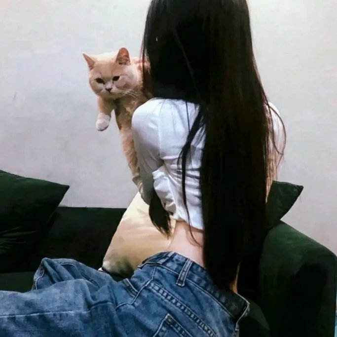 歌舞团的女人们